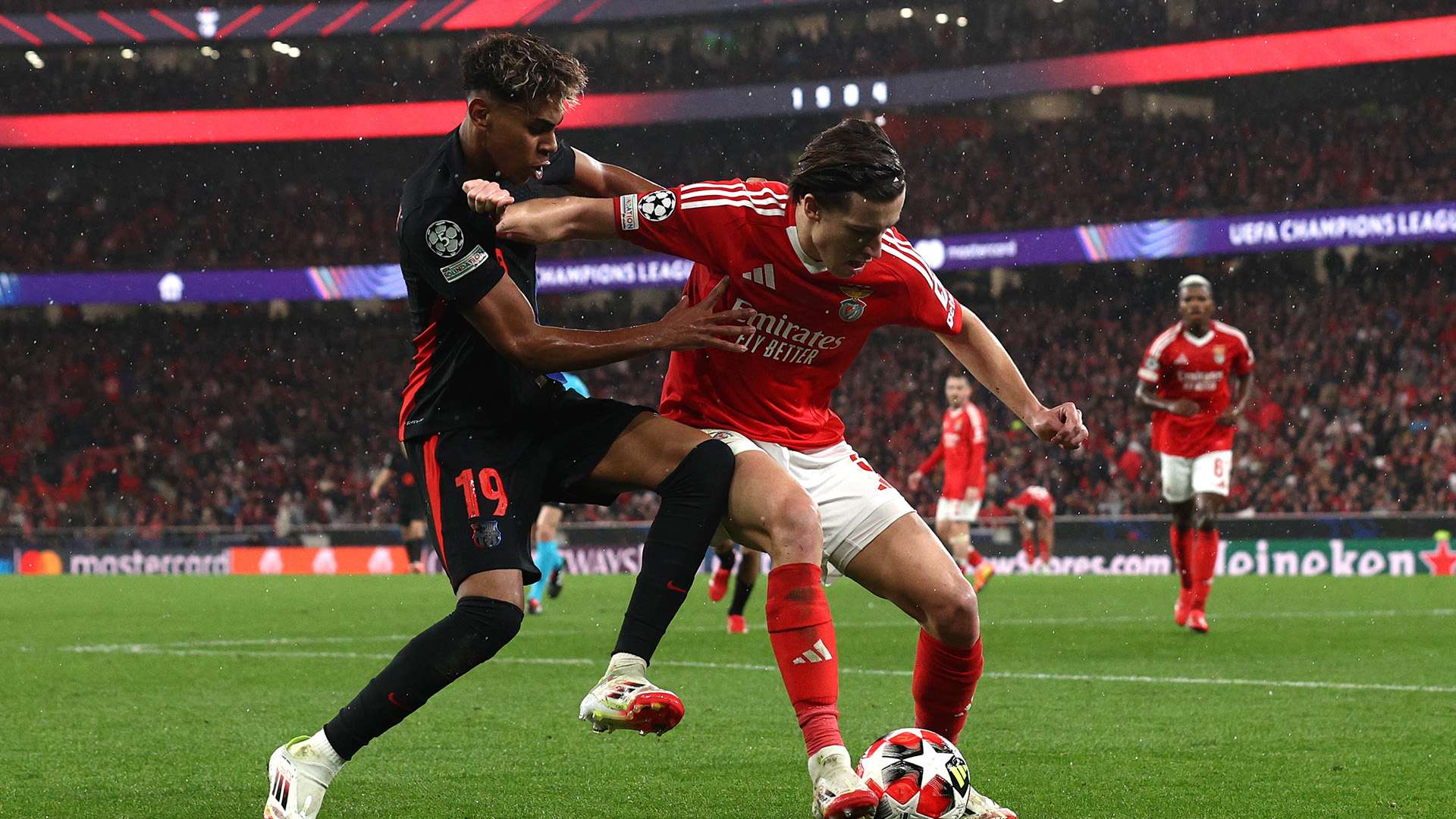 拥抱生命的 拥抱生命的